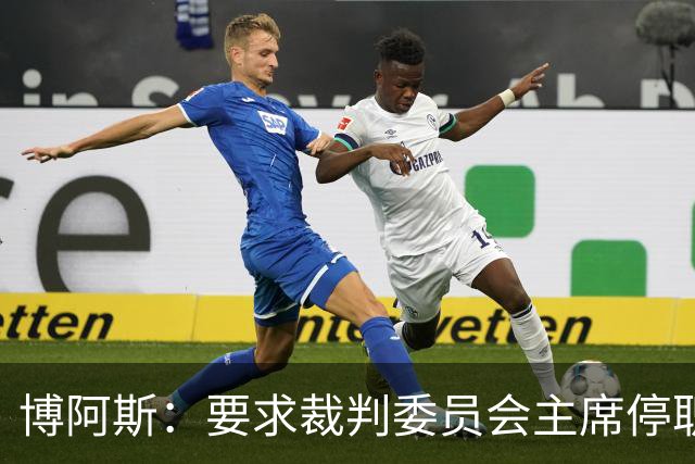博阿斯：要求裁判委员会主席停职 葡萄牙足球需要可信任的领导层